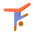 Acrobatics Skin Type 4 icon