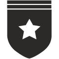 Insignia icon