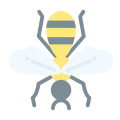 Wasp icon