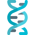 DNA structure of a human body in a round motion icon