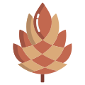 Pine Cone icon