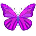 Papillon icon