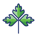 Parsley icon