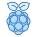 Raspberry Pi icon