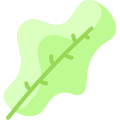 Leaf icon