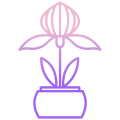 阳光下的植物 icon