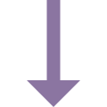 Down Arrow icon