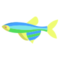 Zebra Danio Fish icon