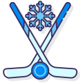 Hockey sur glace icon
