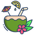 Coconut Drink icon