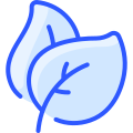 Leaf icon