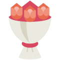 Tulipa icon