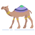 Dromedary icon