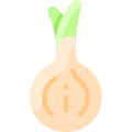 Cebolla icon