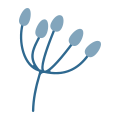 Branch icon