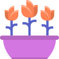 Tulips icon