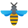 蜜蜂顶视图 icon