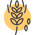 Grain icon