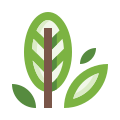 Leaves icon