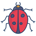 external-marienkäfer-bugs-and-insekten-icongeek26-linear-color-icongeek26 icon