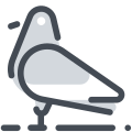 Pombo icon