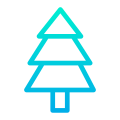 Pine Tree icon