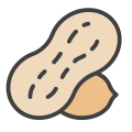 Peanut icon