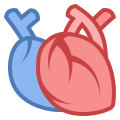 Medical Heart icon