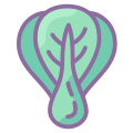 Bok Choy icon