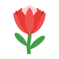 -protea-fiore icon