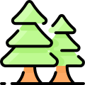 Spruce icon