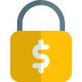 Secure online payment ssl protection, money security icon