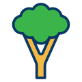 Brocoli icon