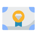 Certificate icon