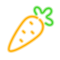 Carota icon