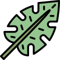 Leaf icon