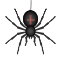 Spider icon