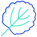 Aspen Leaf icon