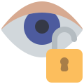 Retina icon