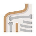 Shoulder blade icon