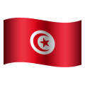 突尼斯圆形表情符号 icon