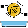 Dna Strand icon