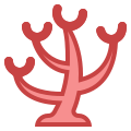 Coral icon