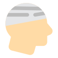 Head Injury icon