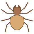 Aranha icon