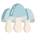 Paddy Straw Mushroom icon