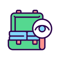 Baggage Checks icon