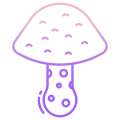 Wild Mushroom icon