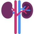 Kidney icon