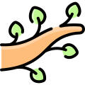 Branch icon